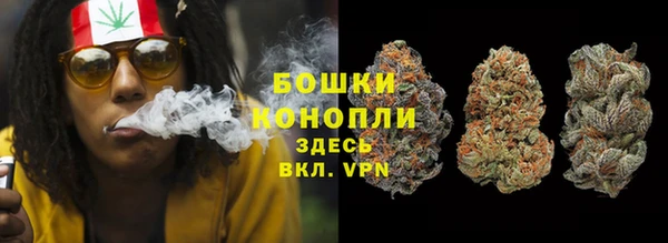 сатива Абаза