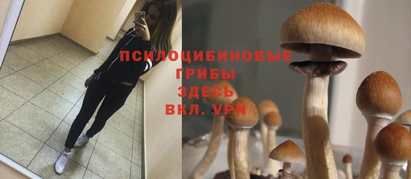 каннабис Алексин