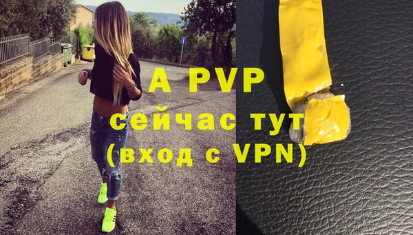 сатива Абаза